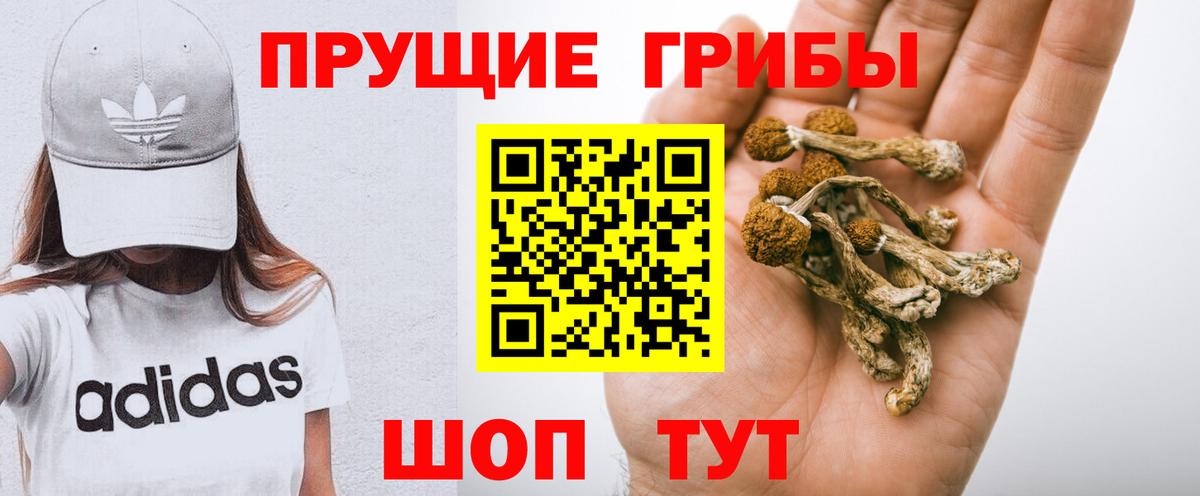 ТГК Дубна